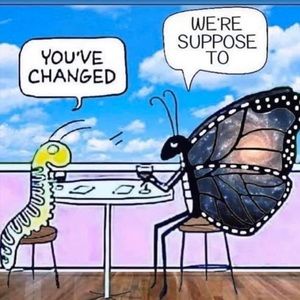 Meet your Posher, Star